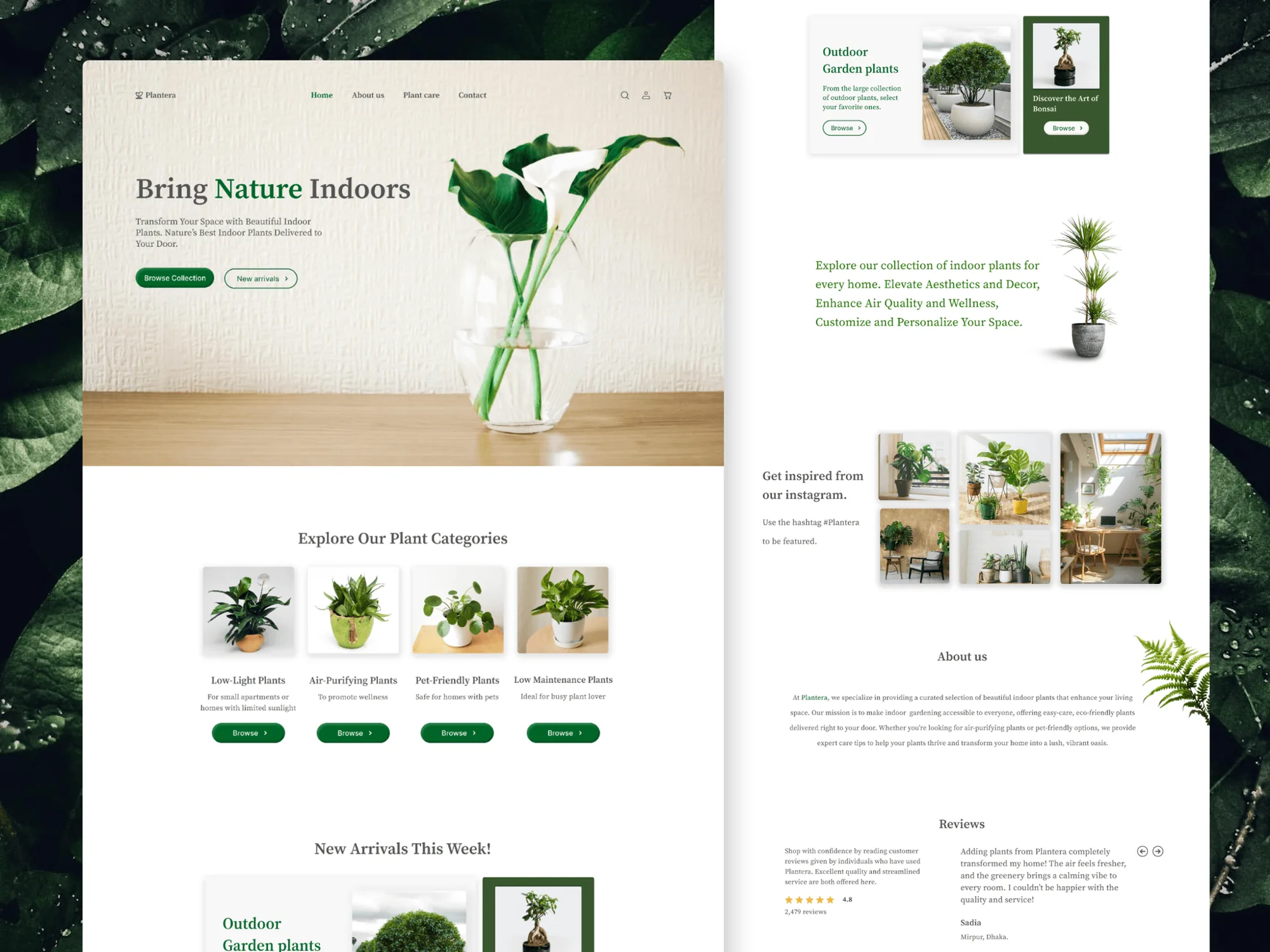 Plantera e-commerce website screens